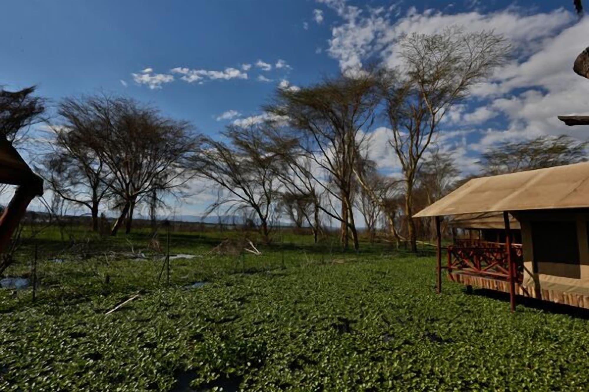 Hotel Kiboko Luxury Camp Naivasha Zewnętrze zdjęcie