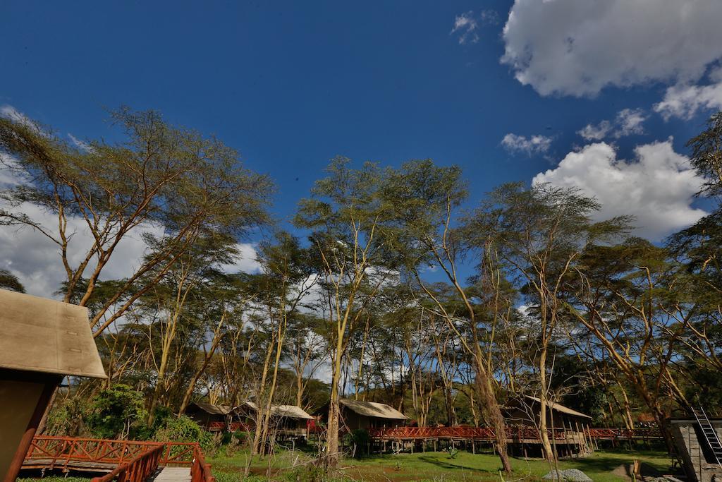 Hotel Kiboko Luxury Camp Naivasha Zewnętrze zdjęcie
